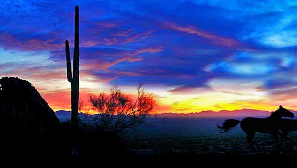 Wayne Dyer Events in Phoenix, Arizona